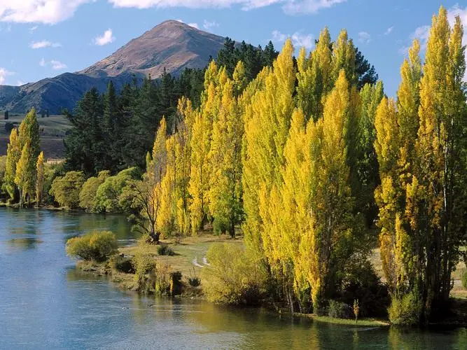 可靠性独特先进